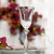 Eleganckie kieliszki do likieru platyna New York-NYDS